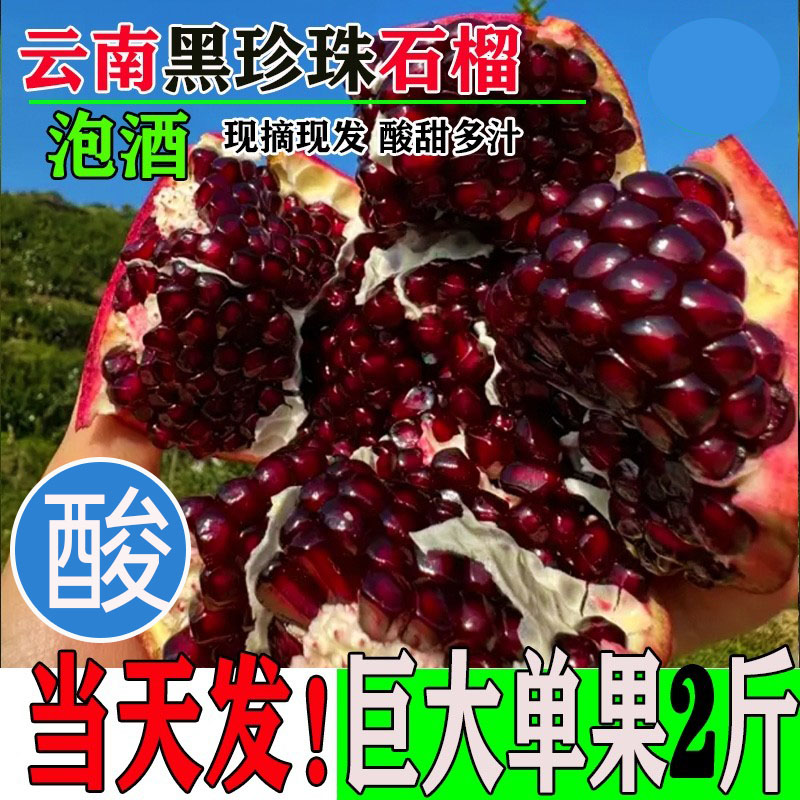 云南黑籽建水黑珍珠软籽酸石榴新鲜泡酒应季水果包邮