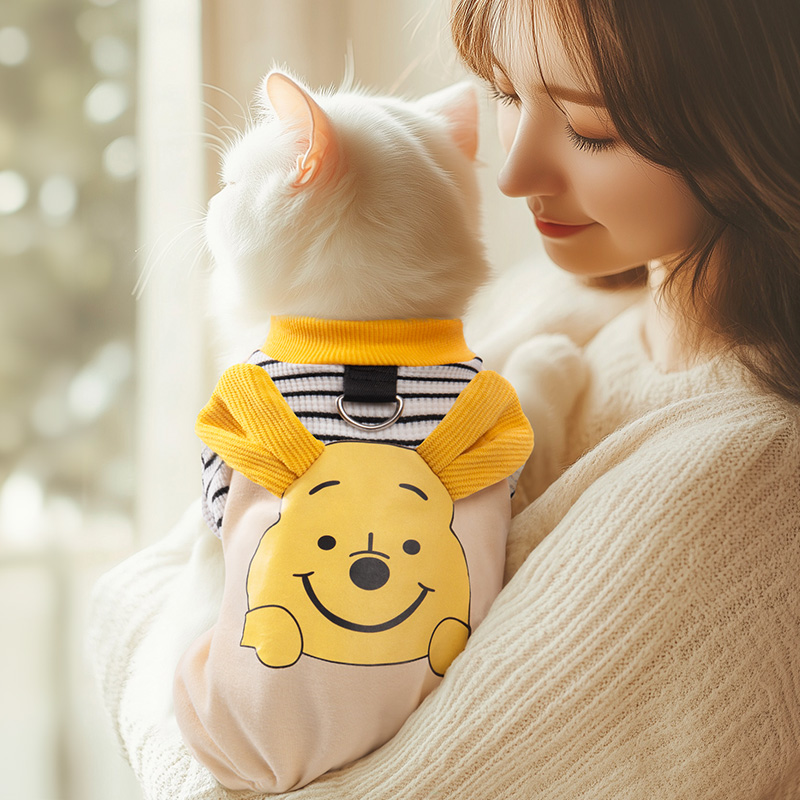 猫咪衣服2025新款四脚背带裤宠物布偶德文英短银渐层猫防掉毛服装