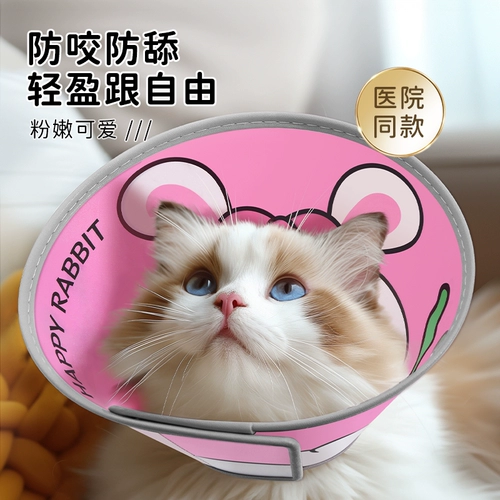 Элизабет Кэт Кот Кэт Абс Круг Круг Анти -гибкий короткий кот короткий кошачий кружок Круг Круг Круг Дог ПЭТ -продукты