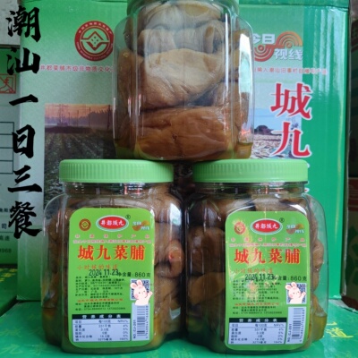 井都城九菜脯条菜脯粒860g