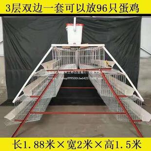 热镀锌蛋鸡笼养殖场阶梯式蛋鸡笼4门养鸡笼全套自动滚蛋鸡笼