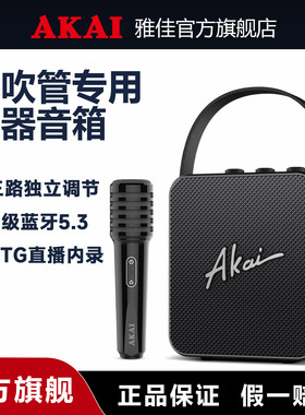 雅佳AK11 专用音箱电吹管萨克斯二胡用音响官方旗舰店户外乐器