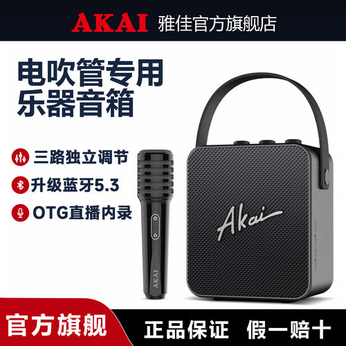 雅佳AK11 专用音箱电吹管萨克斯二胡用音响官方旗舰店户外乐器