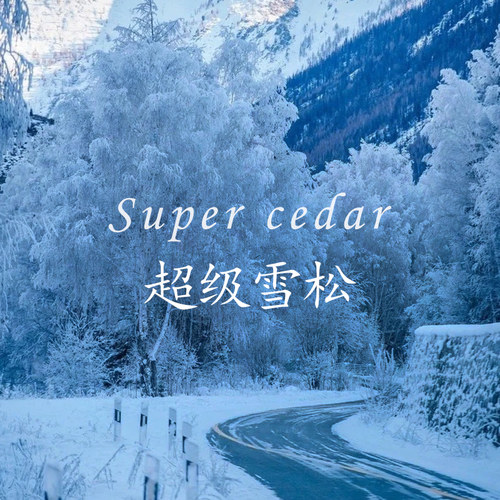 「北国雪松/超级雪松」木质中性男士女士小众温柔大牌平替10ml