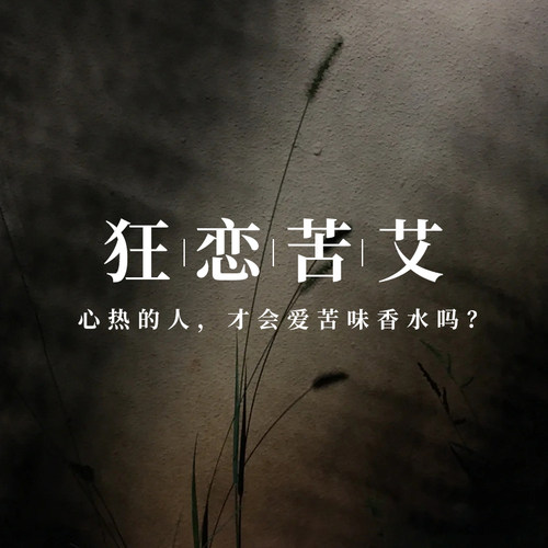 清冷系狂恋苦艾/孤儿怨/药房艾草味中性木质平替中草药香氛香水