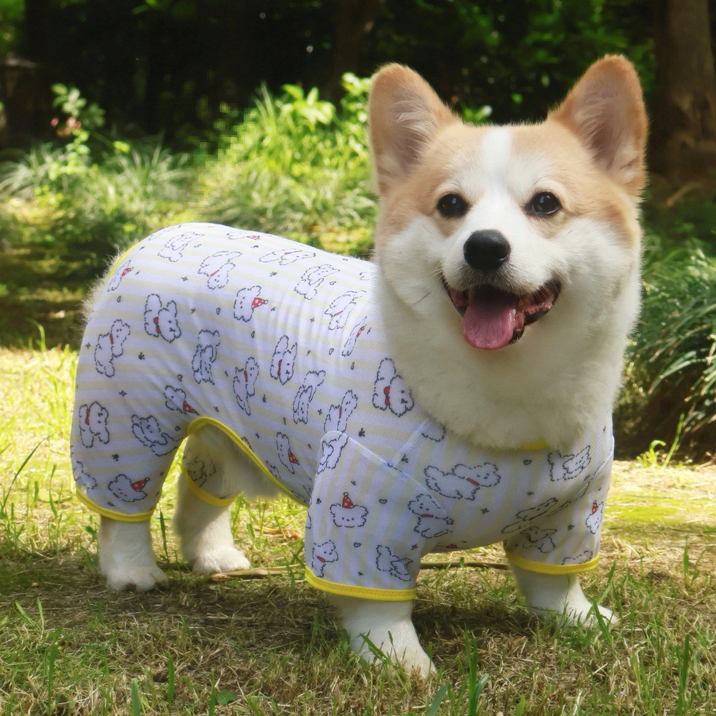 柴犬柯基狗狗四脚衣服夏季薄款网纱外出防脏防晒凉凉衣防掉毛睡衣