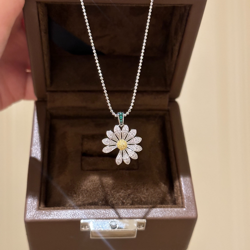 雏菊项链女2025新款配饰轻奢小众