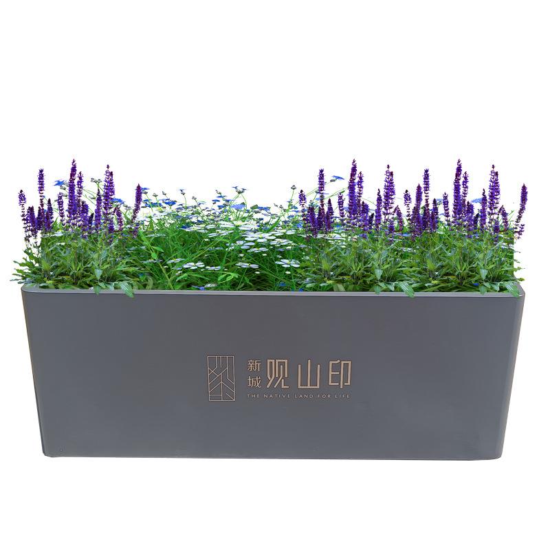 长方形户外铁艺花箱售楼部组合花架道路不锈钢花盆花槽室外围栏隔