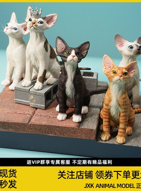 JXK1/6德文卷毛猫仿真动物模型可爱公主创意猫咪摆件手办礼品潮玩