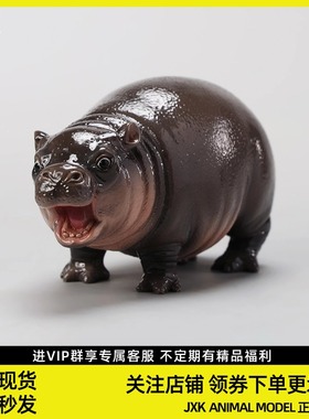 JXK河马幼崽宝宝moodeng猪肉丸子