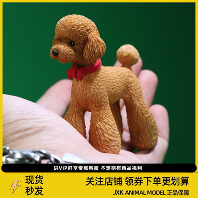 泰迪贵宾犬仿真模型宠物狗mrz