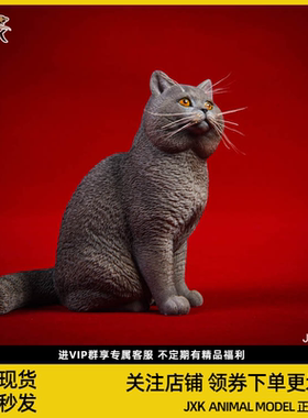 JXK仿真英短黑猫摆件英国短毛猫