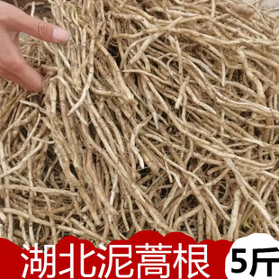 湖北特产藜蒿根芦蒿根泥蒿根农家自种现挖现发新鲜蔬菜柳蒿蒌蒿根