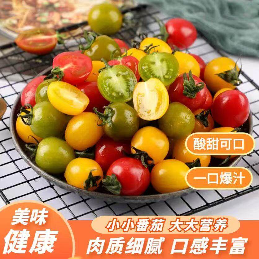 顺丰三色小番茄阳光新鲜青口蜜番茄千禧七彩圣女果现摘西红柿水果