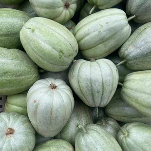 湖北甜瓜本地土香瓜小时候味道孕妇水果佛手甜宝绿肉香瓜露天应季