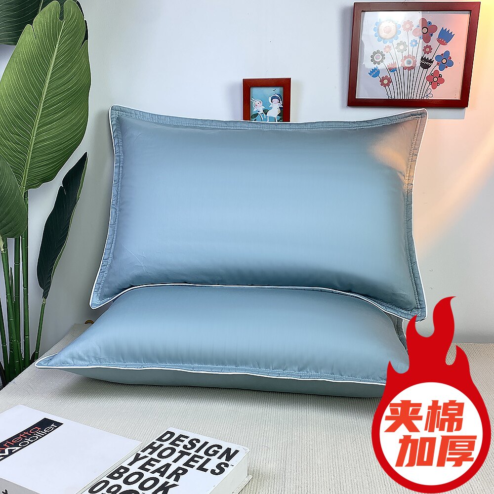 特价纯棉枕套单人夹棉加厚全棉家用枕头套一对拍二48*74cm枕芯套