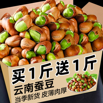 正宗云南绿心蚕豆大颗粒买1送1