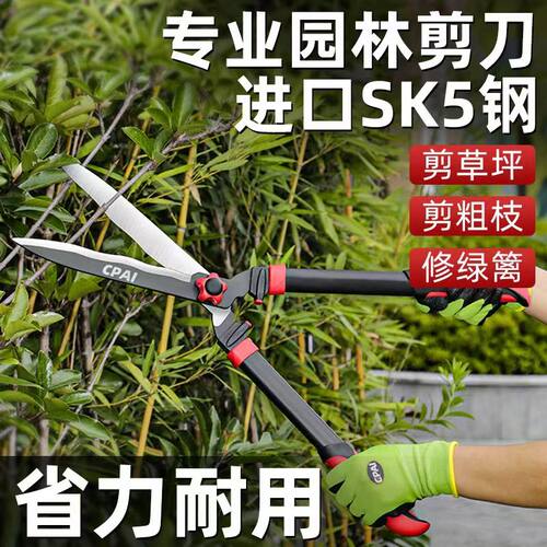 园艺修枝剪园林剪刀树枝专用