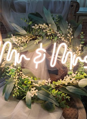 mr $ mrs字母网红霓虹造型灯 字母发光设计 婚礼求婚装饰 50*19cm