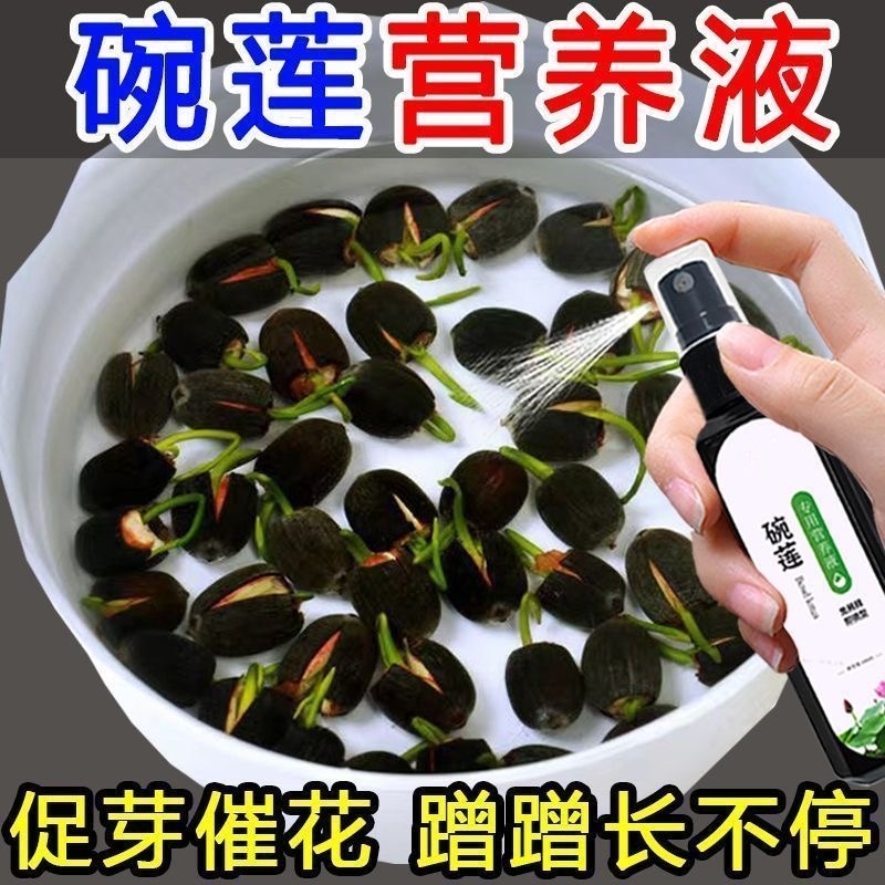 碗莲专用营养液睡莲肥料通用水溶肥水培种子发芽生根促开花防黄叶
