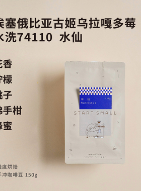 90分+水洗镇店之宝2024新产季水仙STARTSMALL 埃塞手冲咖啡豆150g