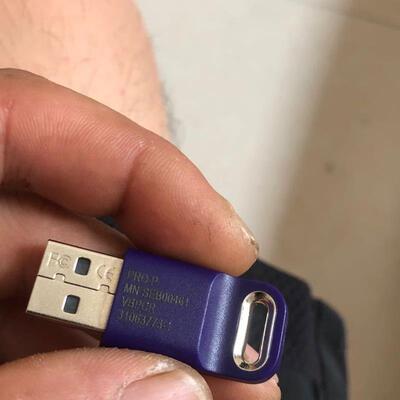 Euresys eVision EasyAccess USB 加密狗 SENTINEL HL PRO 软件狗