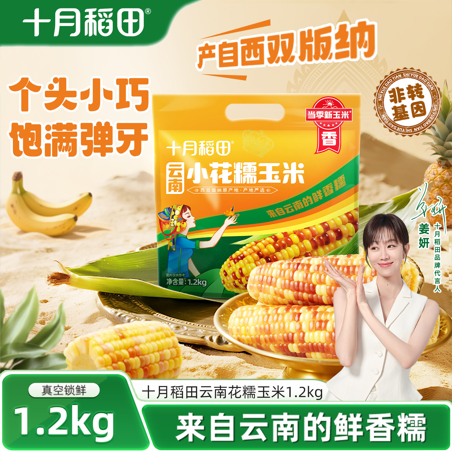 十月稻田云南小花糯玉米真空粗粮1.2kg新鲜糯玉米