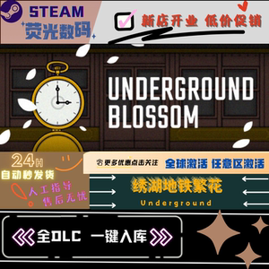 Steam 绣湖 地铁繁花 全DLC 激活码 cdkey 激活（其他系列有货）