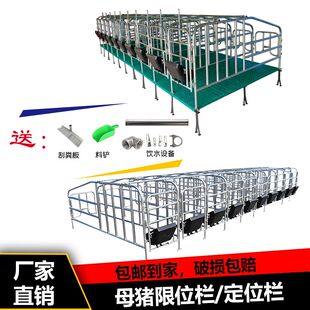 猪用定位栏落地式复合母猪限位栏加厚漏粪板直供母猪定栏一体两用