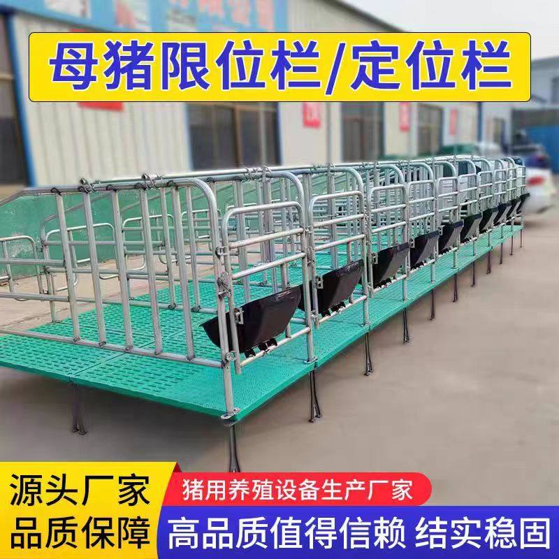 母猪定位栏加厚热镀锌限位新款落地式定位母猪栏母猪产床,农机/农具/农膜,锄头,淘宝优惠券,粉丝福利购,淘宝优惠卷