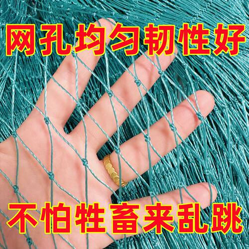 拦鸡鸭网家禽养殖爬藤网