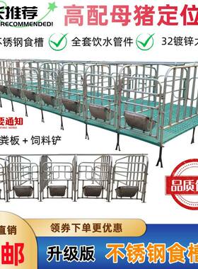 母猪定位栏加厚热镀锌限
