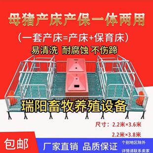 母猪产床产保一体两用猪用的双体产床保育单体母猪产床全套一整套