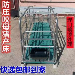 简易产床两用落地式猪圈围栏定位栏猪用产床母猪产床包邮厂家直销