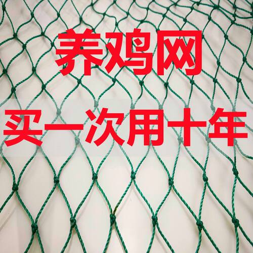 养鸡网拦鸡鸭网家禽养殖
