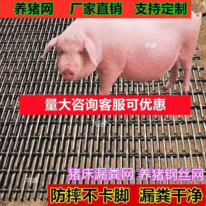 加粗铁丝网大猪漏粪网板保育育肥床产床网板钢筋网格猪床网养猪网