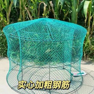 mobile.yangkeduo.com https 训练耐力打场跑笼地毯食槽款 便宜