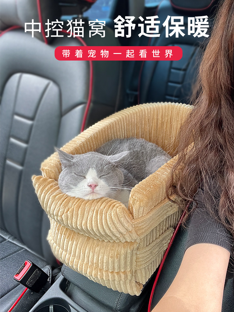 Car Seats For Cats Wallpaper 8k