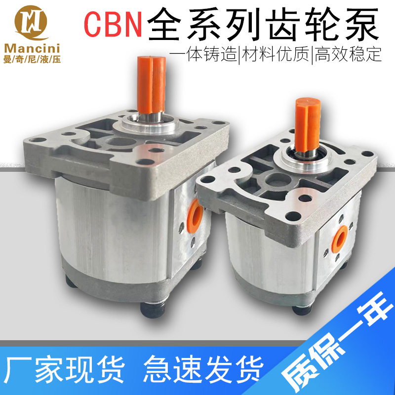 CBN齿轮泵高压大流量液压油泵 CBN-F,CBN-G304定制微型液压齿轮泵-封面