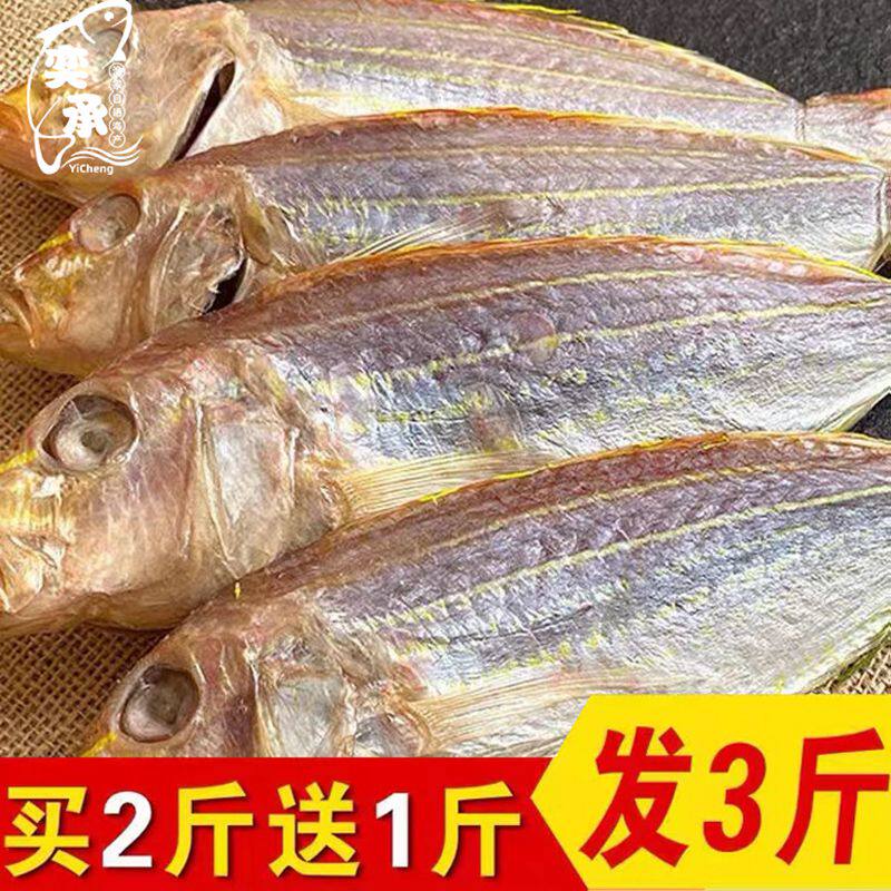 阳江特产淡晒一夜埕金线鱼海产干货咸鱼干咸刀鲤鱼干红杉鱼干