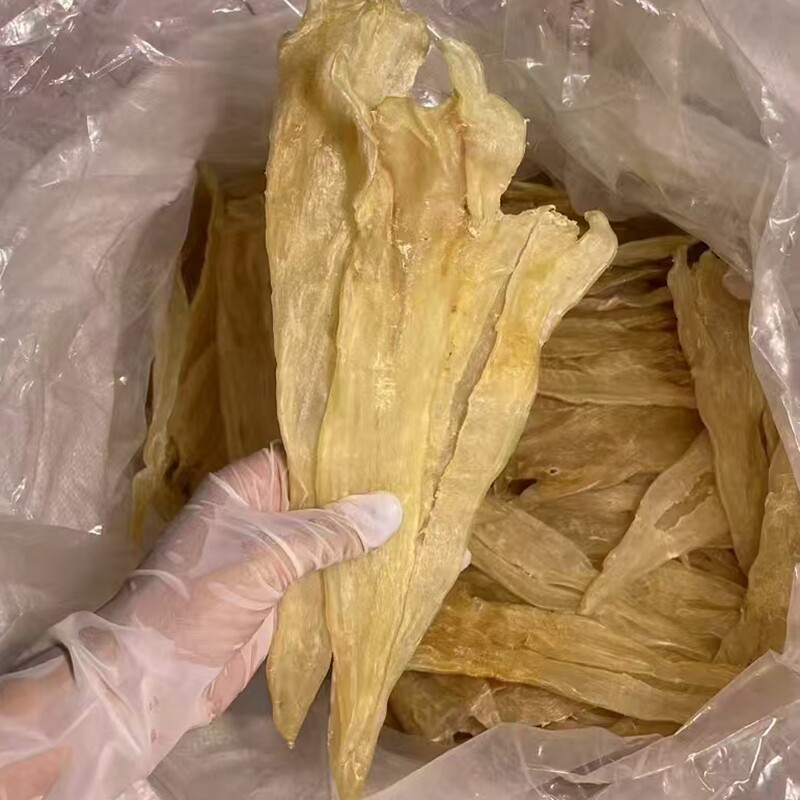 阴阳胶鱼胶北海花胶鱼胶干货正品