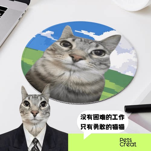 严肃猫创意鼠标垫办公游戏电竞