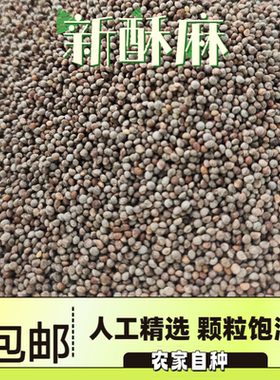 贵州农家酥麻籽好苏麻子油性苏子自种生黑新苏麻籽粒引子汤圆馅料