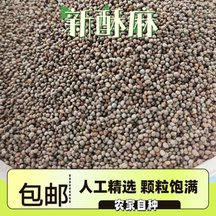 贵州农家酥麻籽好苏麻子油性苏子自种生黑新苏麻籽粒引子汤圆馅料