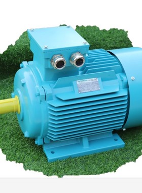 CE认证  IP54 IP55 F极绝缘电机 YE2  160 11 15KW