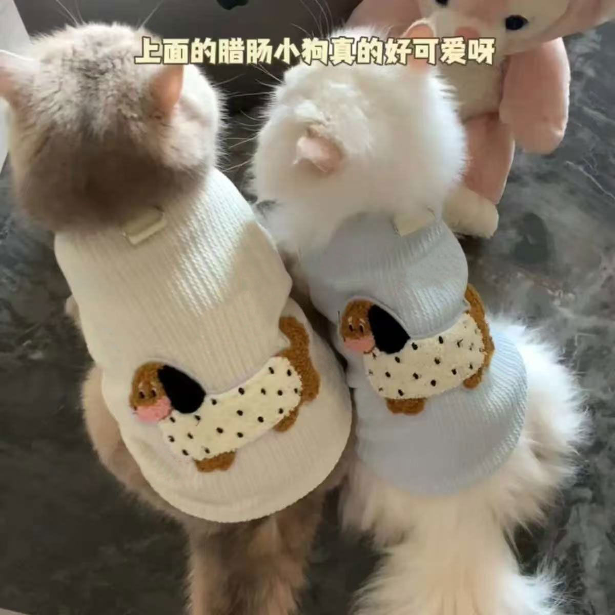 猫咪衣服春夏新款可爱彩色腊肠狗背心带牵引扣泰迪比熊小型犬服装