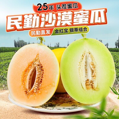 甘肃民勤沙漠黄河蜜瓜银蒂白兰瓜