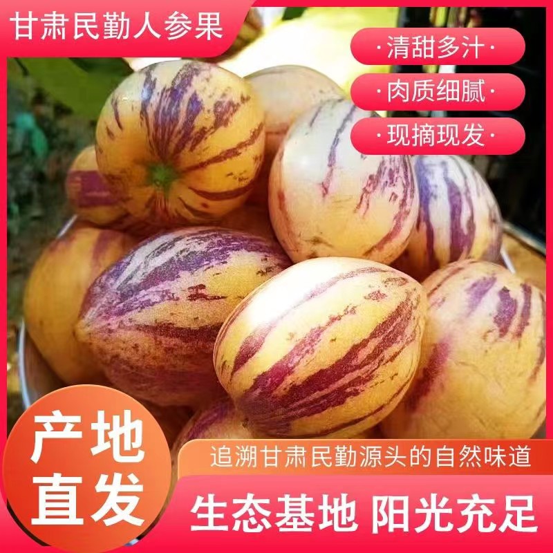甘肃民勤沙漠人参果黄肉清甜多汁
