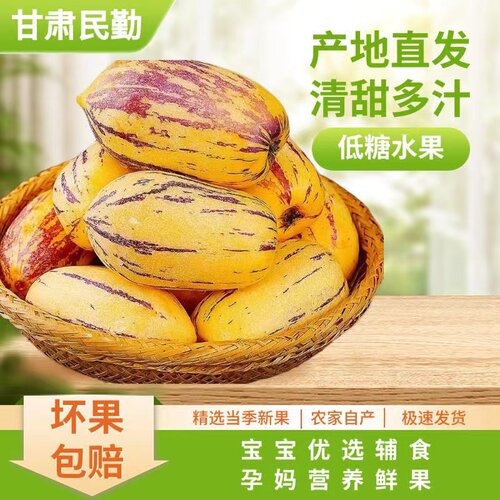 甘肃民勤人参果水润多汁现摘现发