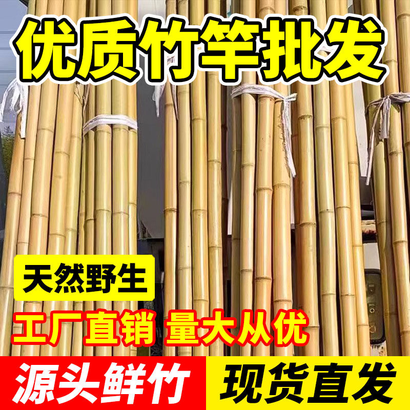 竹竿菜园搭架蔬菜黄瓜番茄豆角架杆竹篱笆栅栏小竹子细竹竿葡萄架